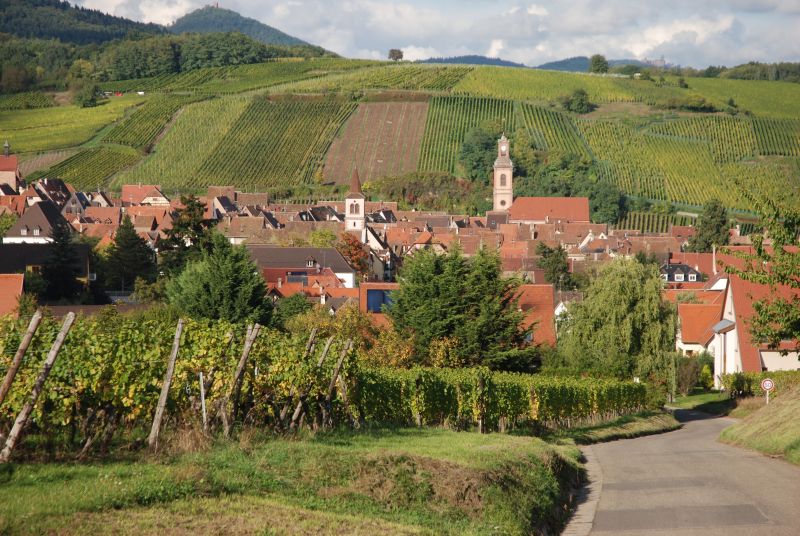 Alsace and the Vosges