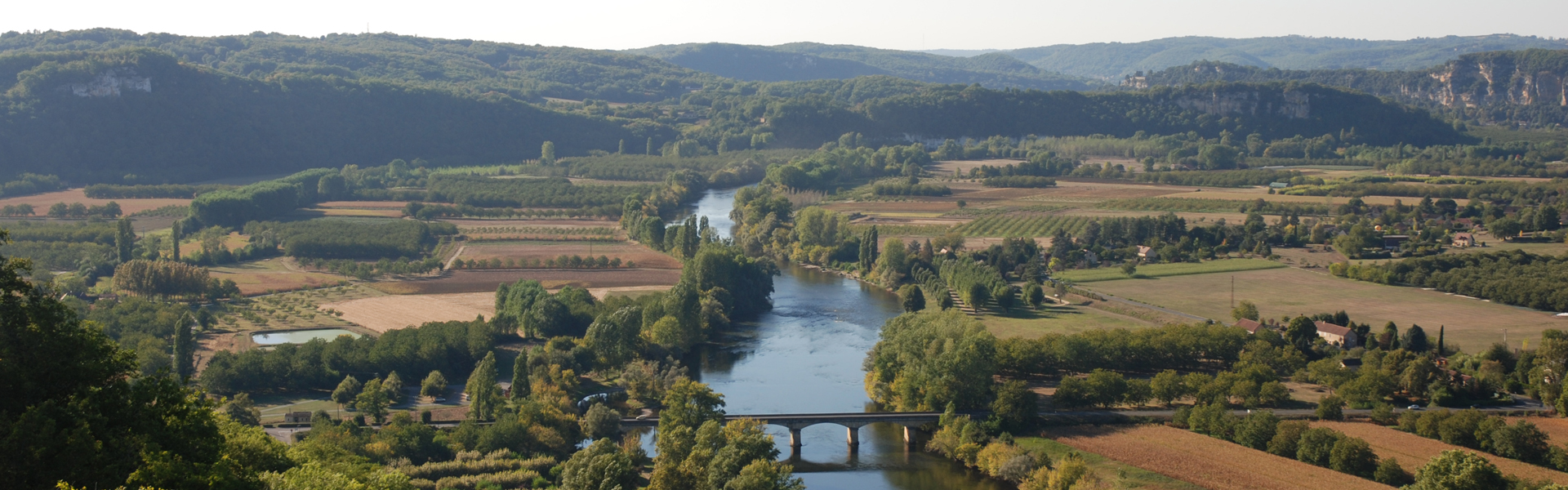 The cheeses of France