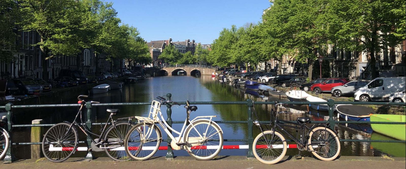 Netherlands Delight Netherlands Delight
