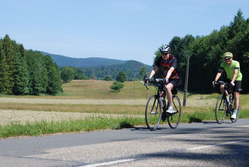 Alsace and the Vosges