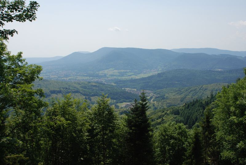 Alsace and the Vosges