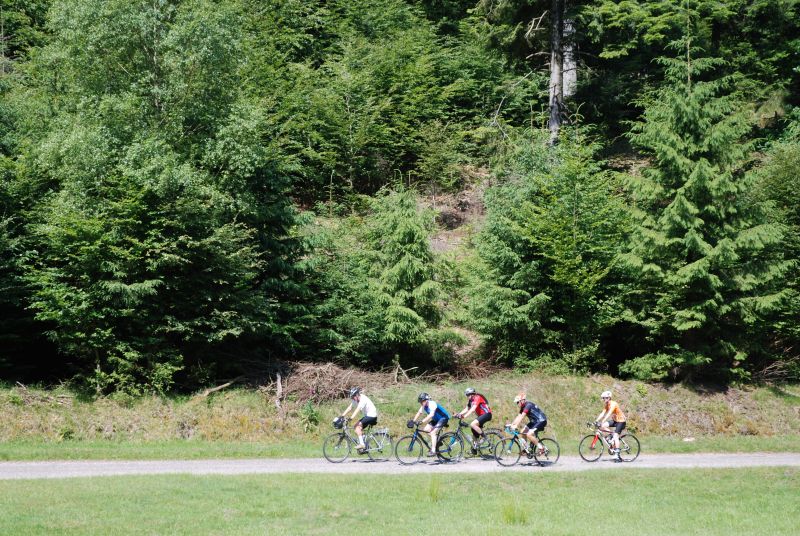 Alsace and the Vosges