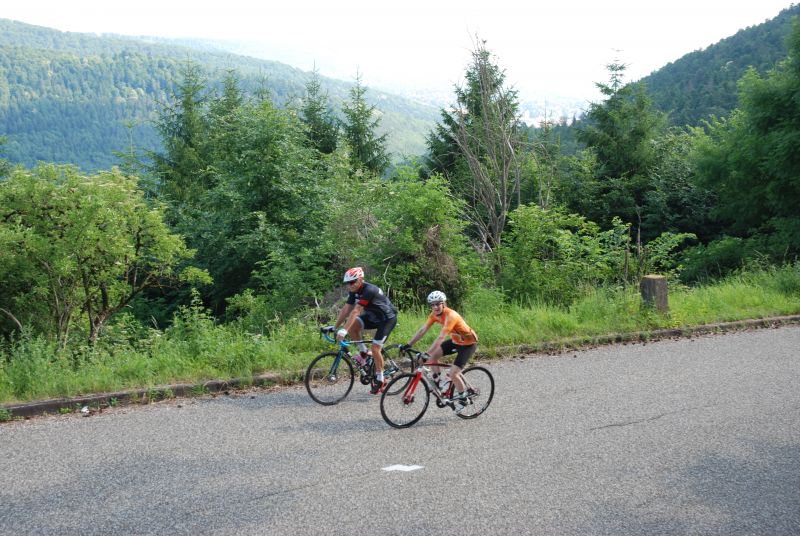 Alsace and the Vosges