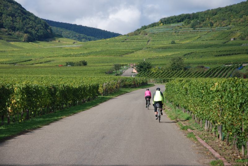 Alsace and the Vosges