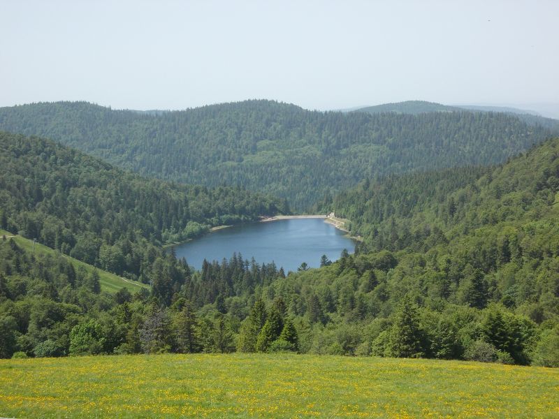 Alsace and the Vosges