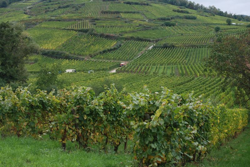 Alsace and the Vosges