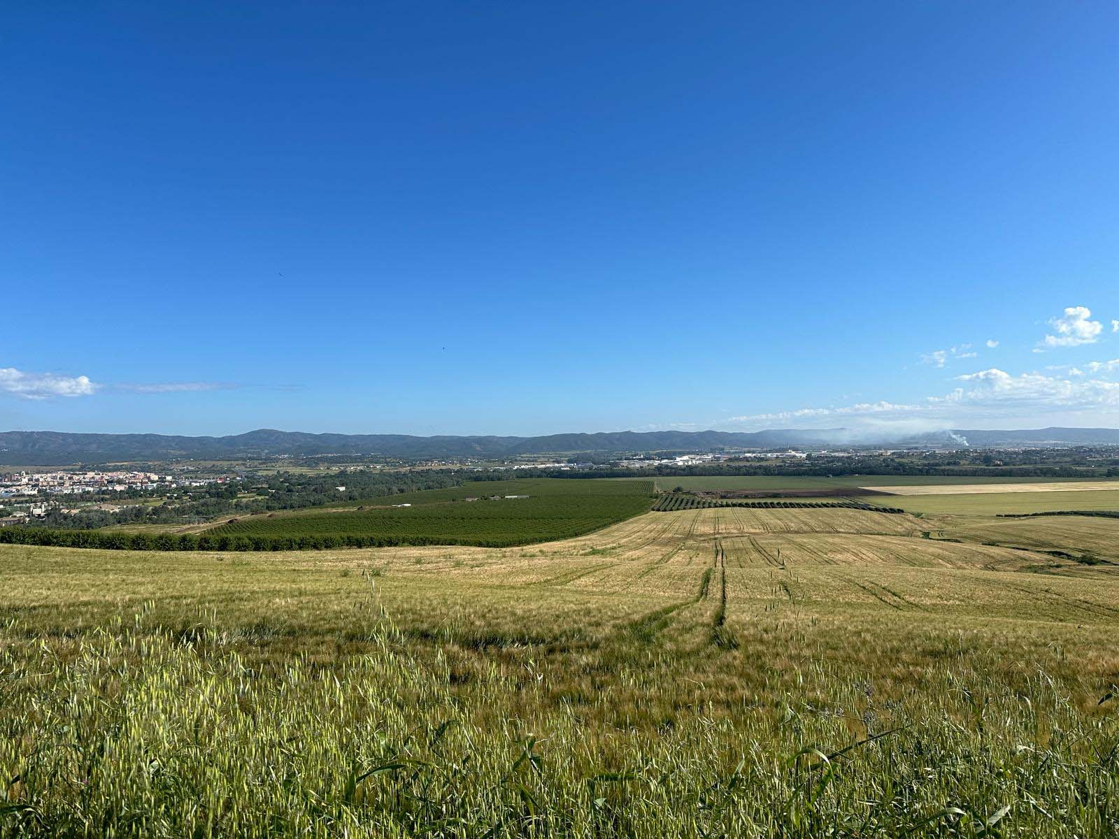 Wonderful open country