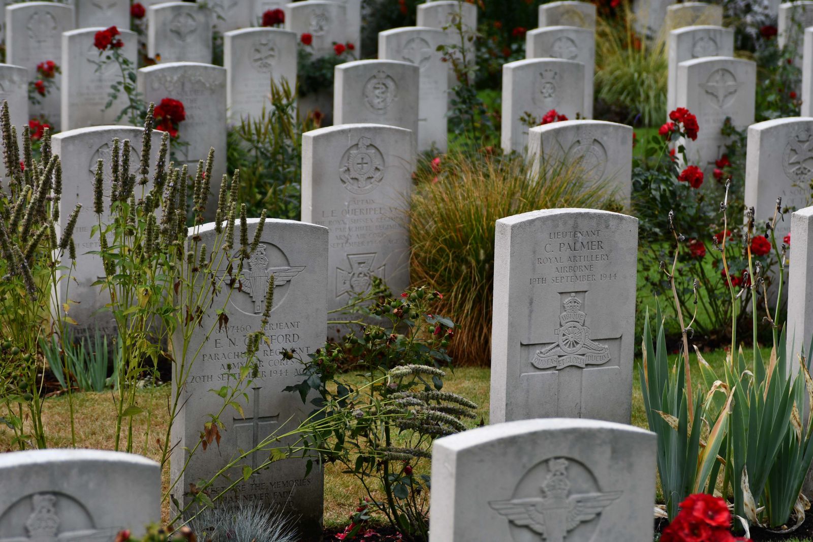 Arnhem cemetery at Oosterbeek holds 1,800 casualties