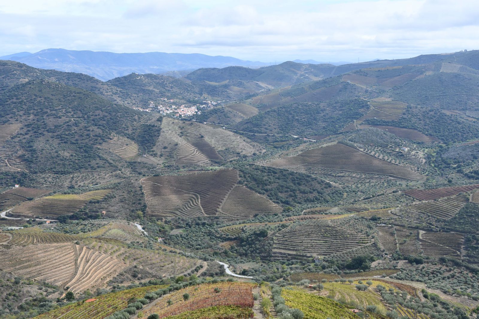 The beautiful Douro valley