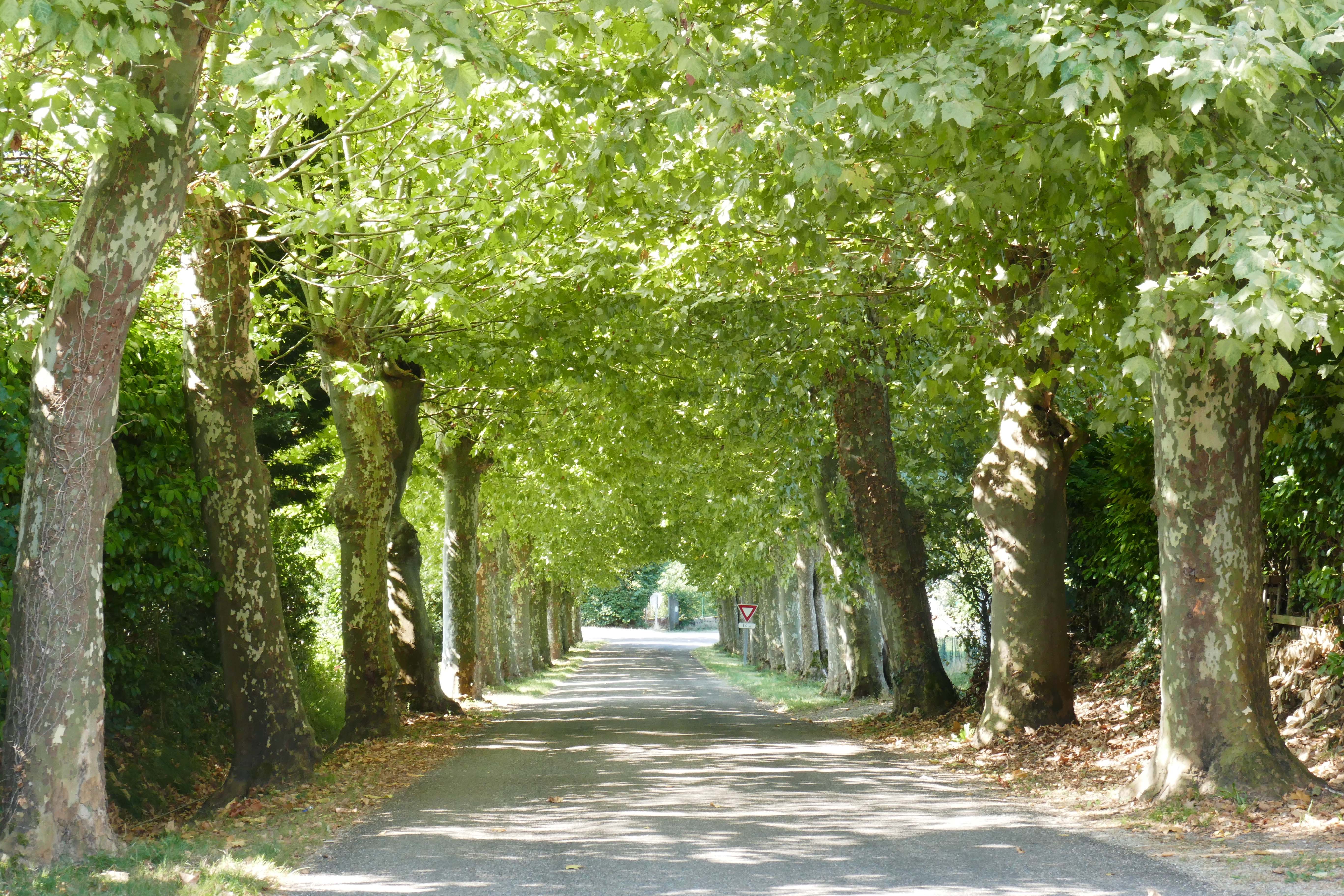 Wonderful French roads