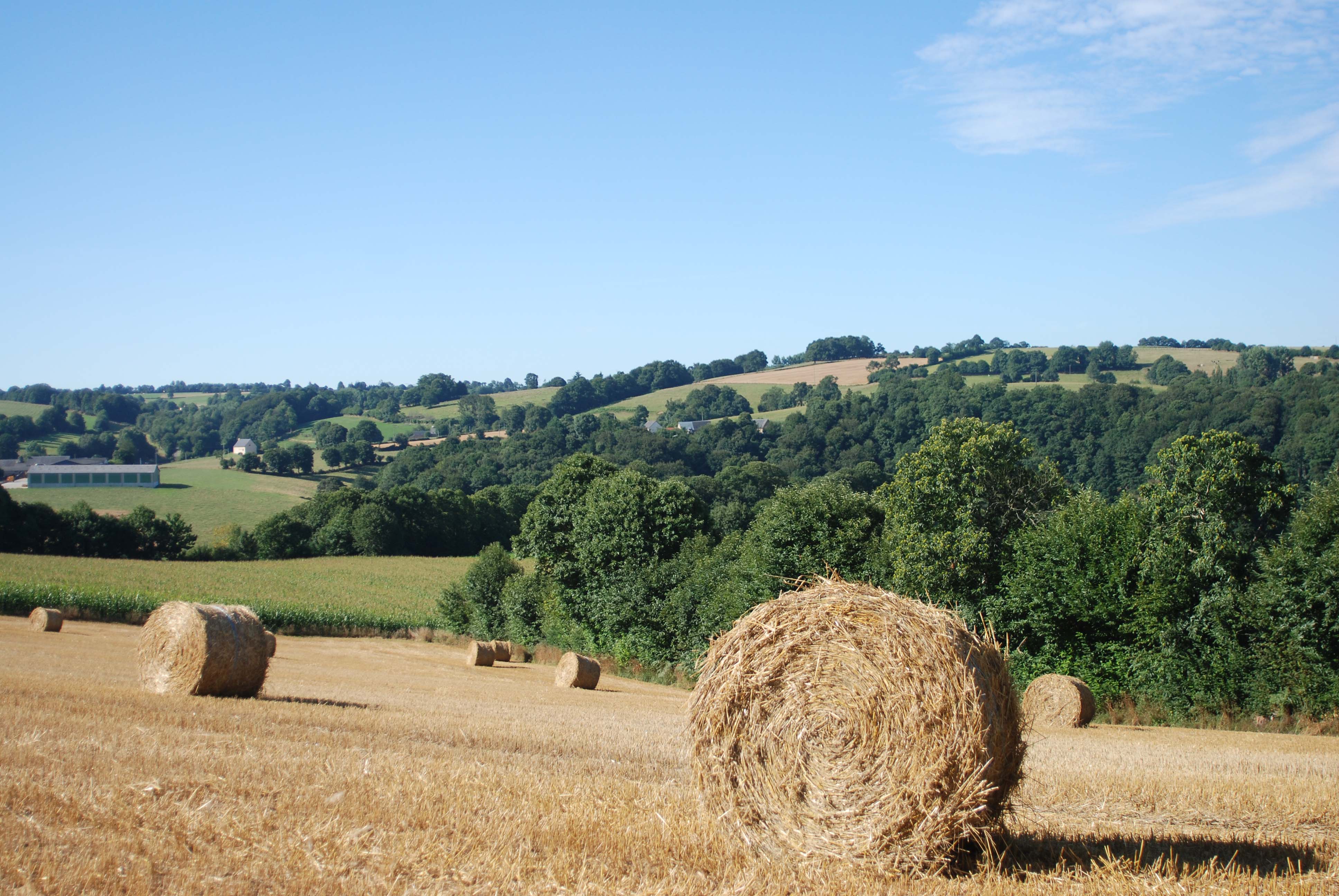 Beautiful countryside in Normandy