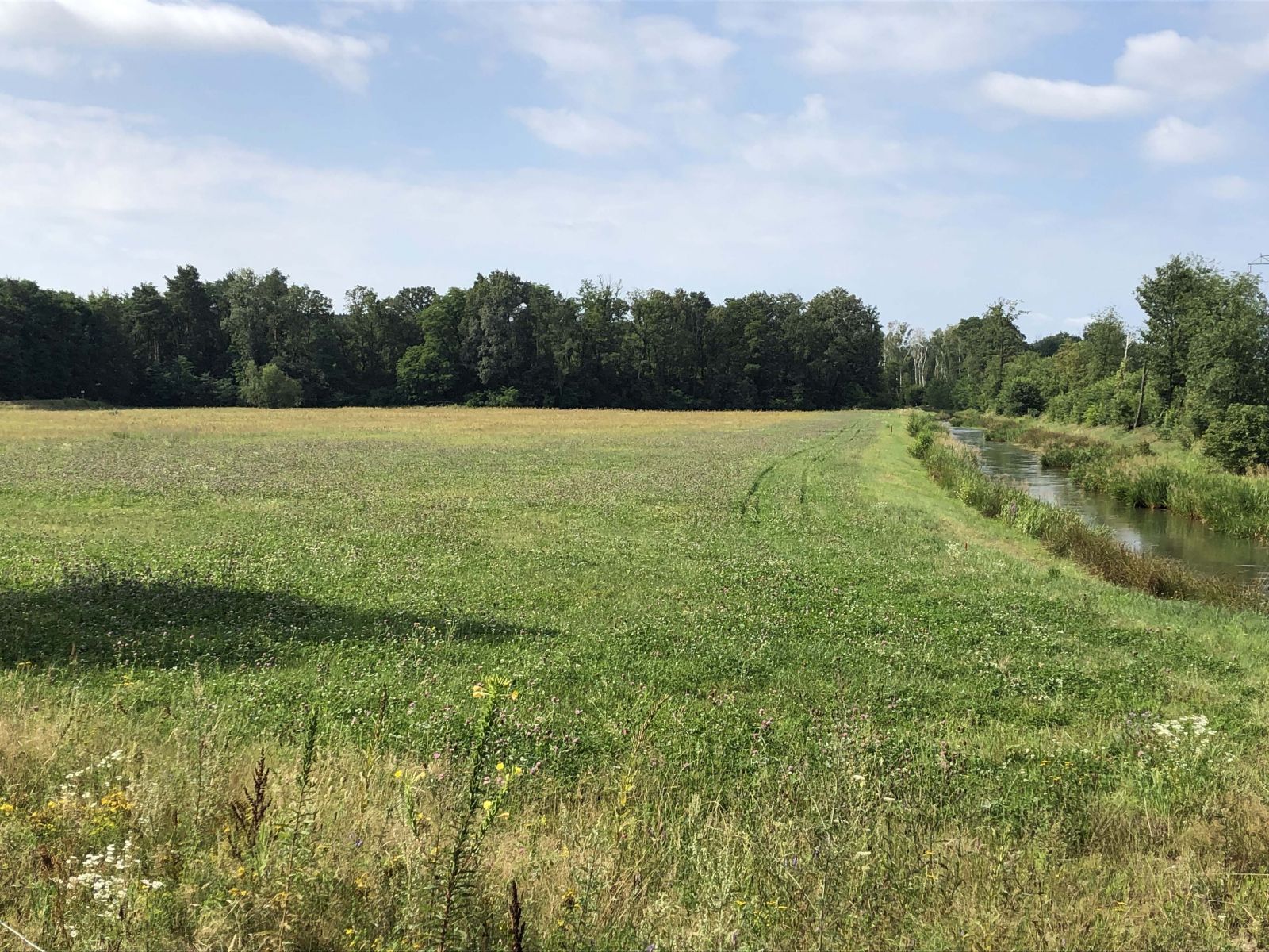 Gentle landscapes in the first few days