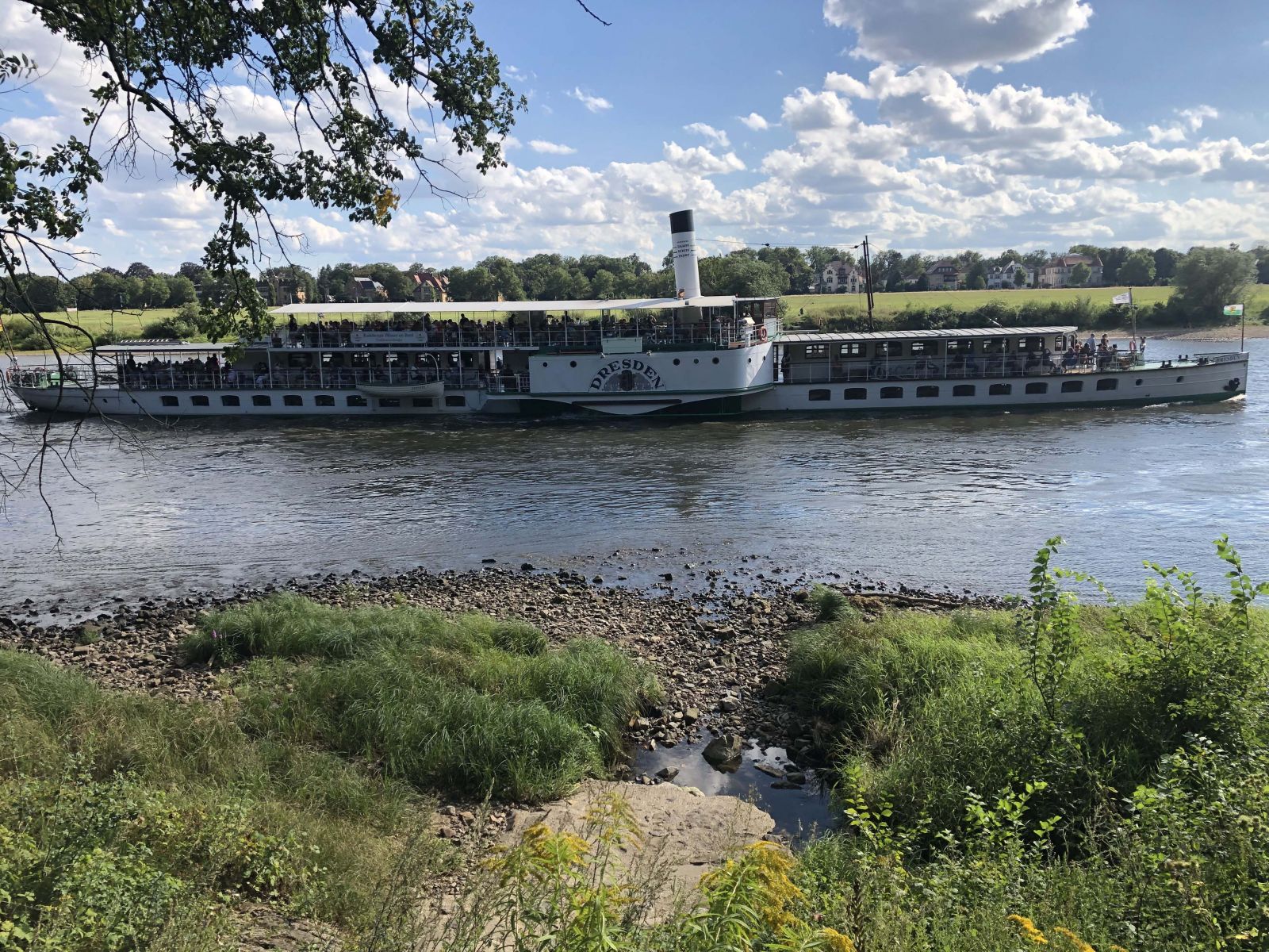 Cruiser on the river Elbe