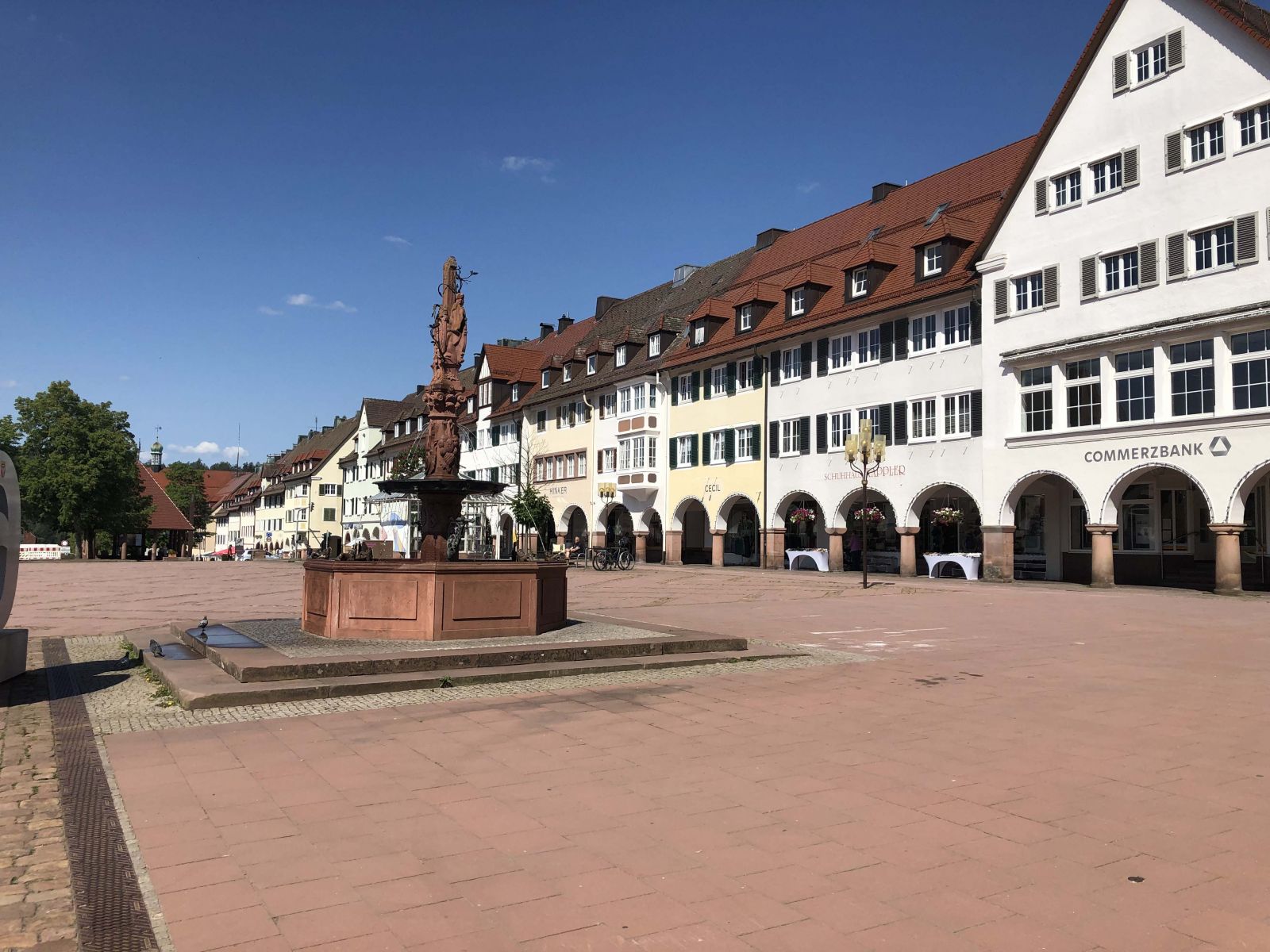 The Black Forest