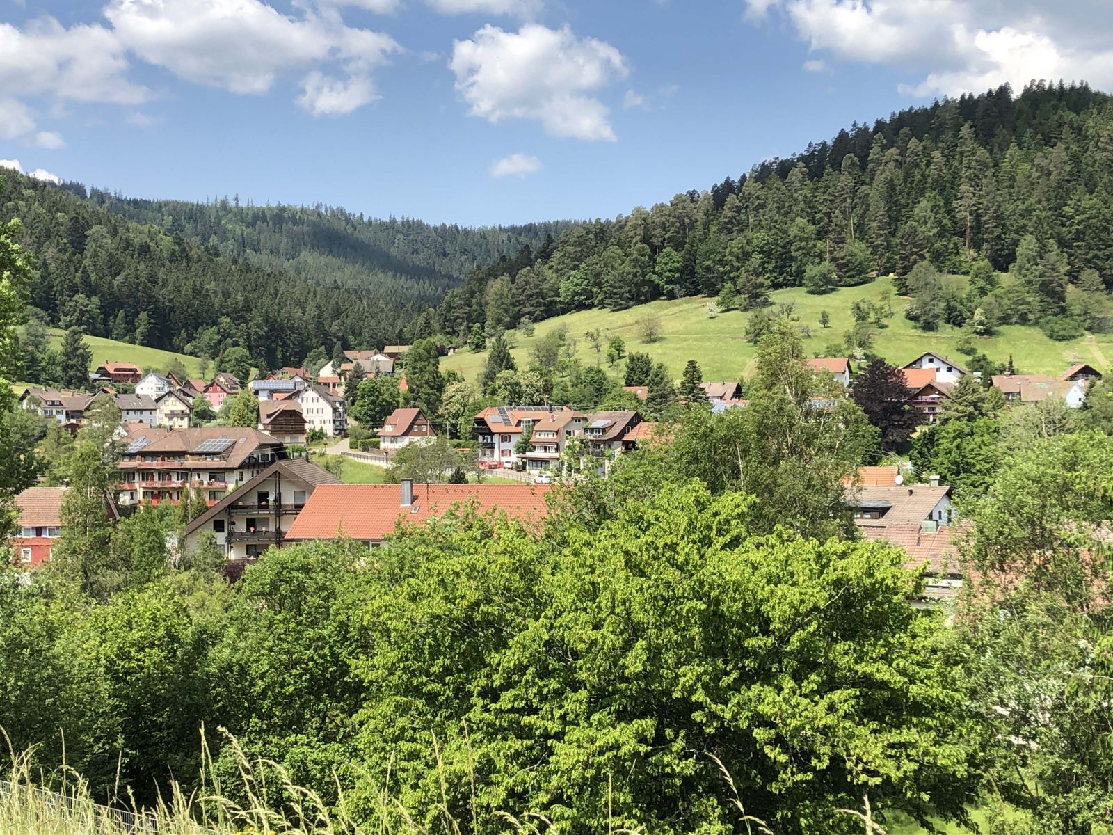 Wonderful scenery in the Black Forest