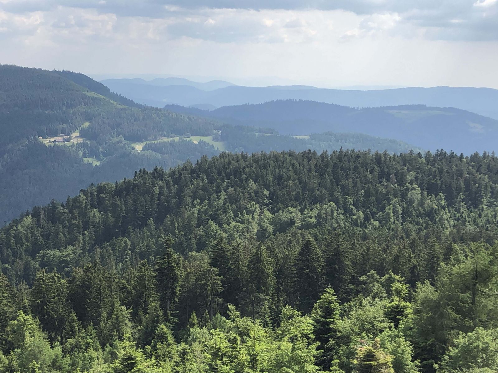 Long views of the Black Forest