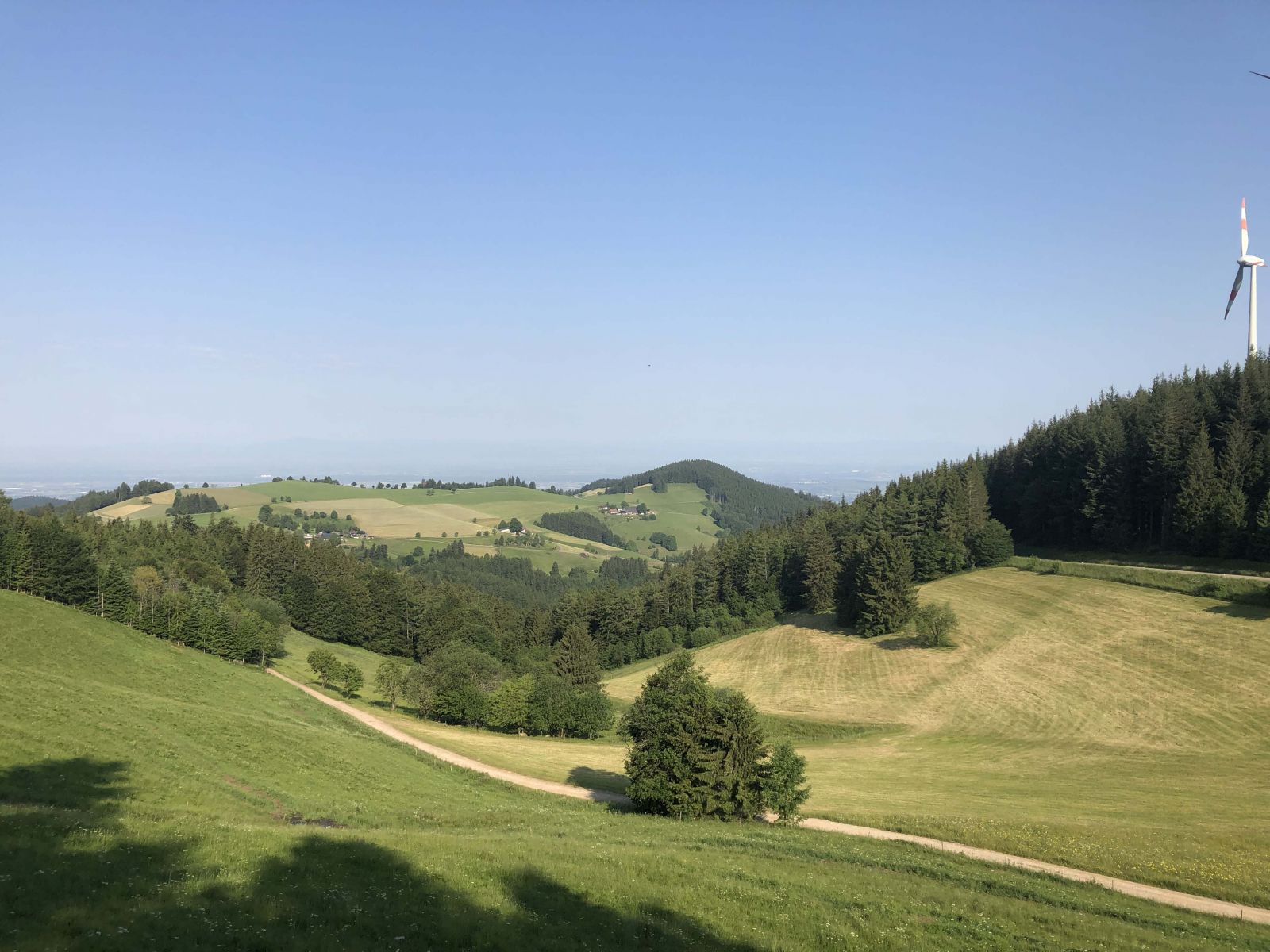 Pastureland in the Black Forest