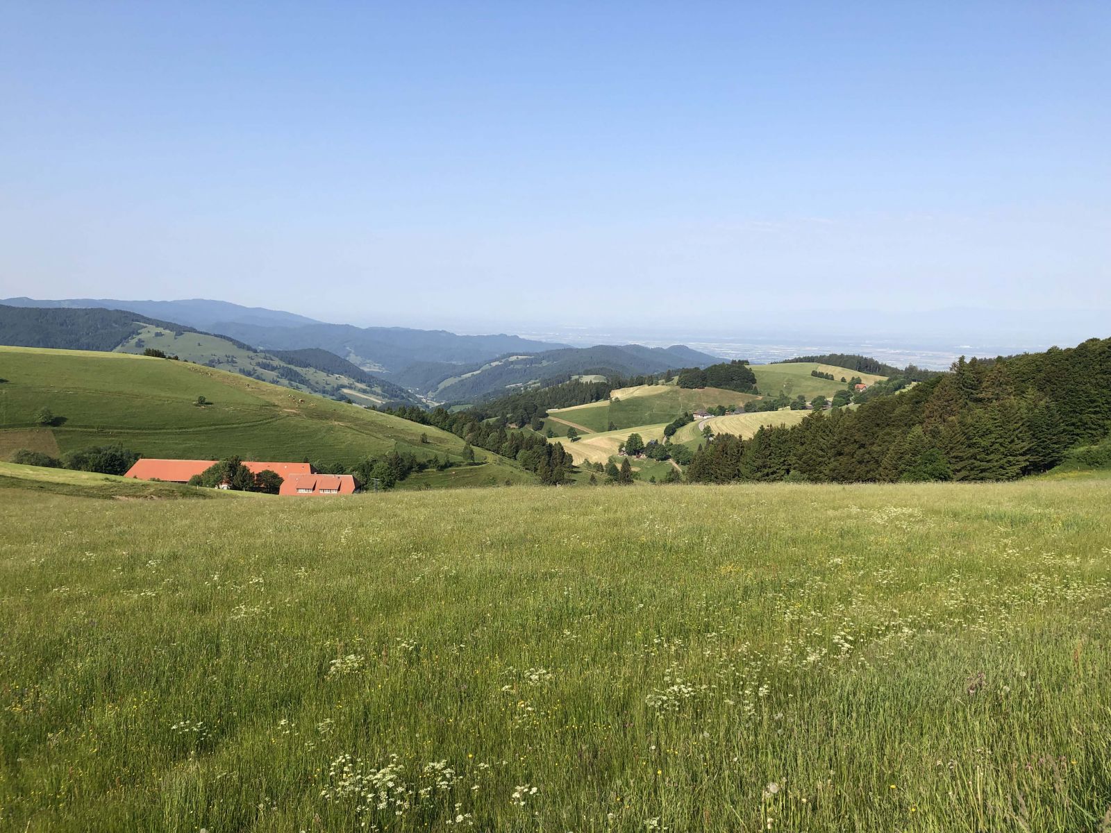 Black Forest landscape