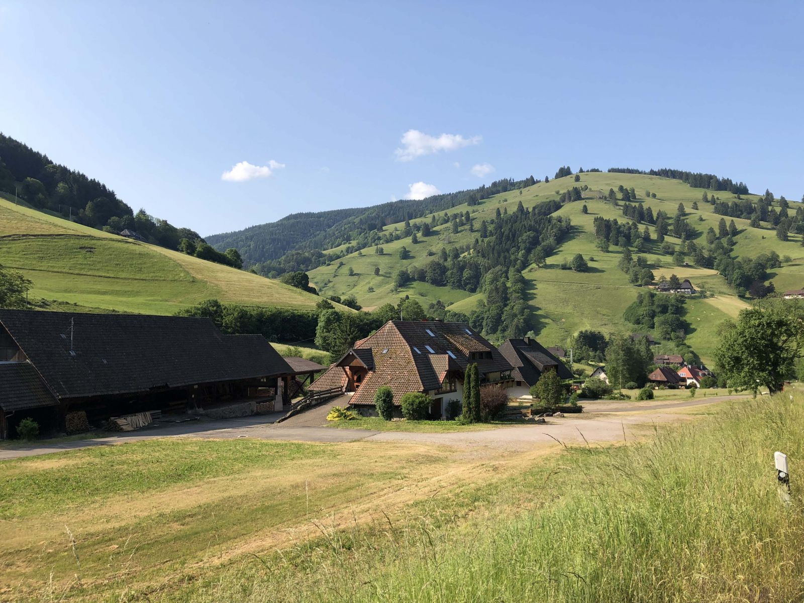 Wonderful Black Forest scenery