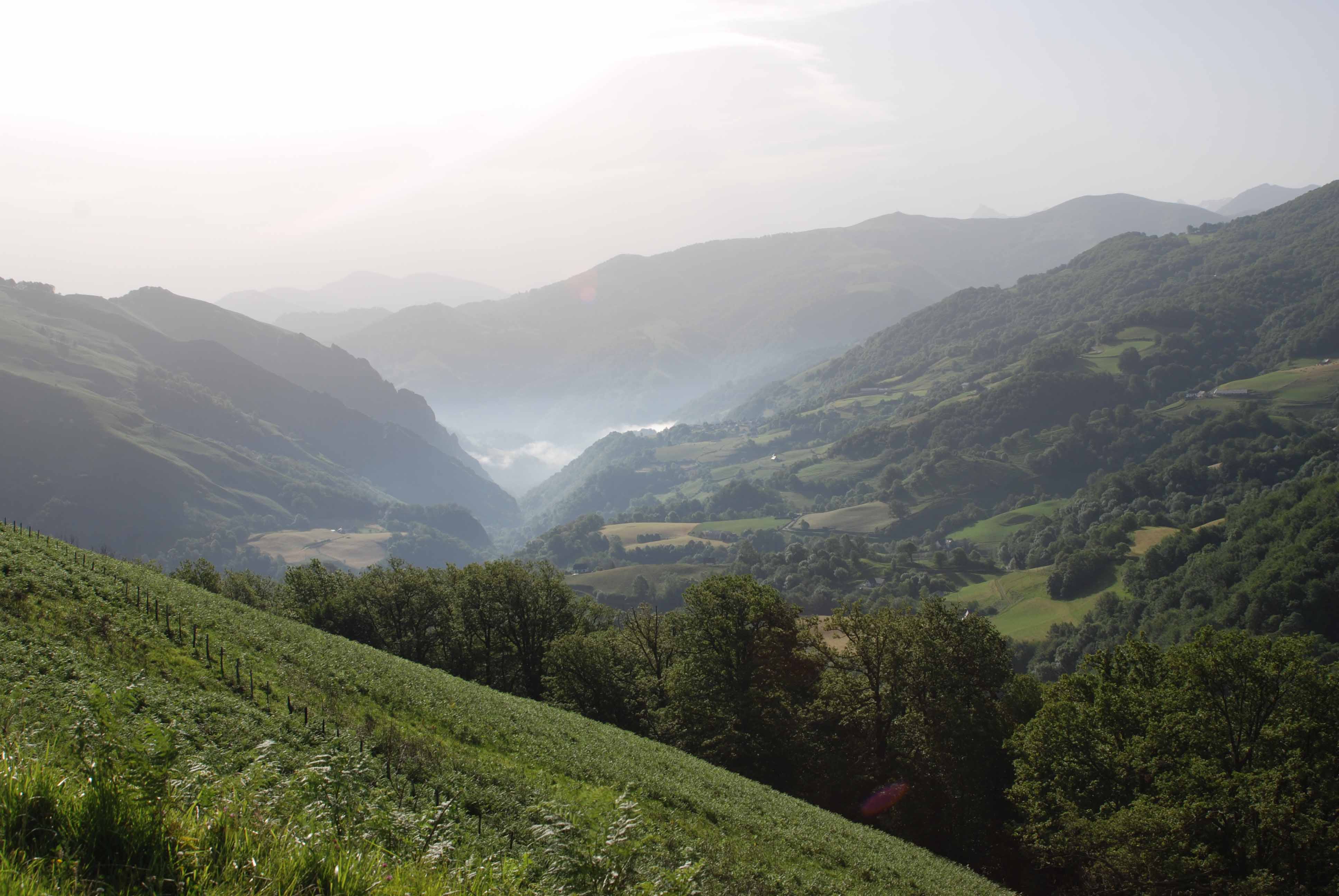 Early morning mist after our night at a hotel in the Pyrenees