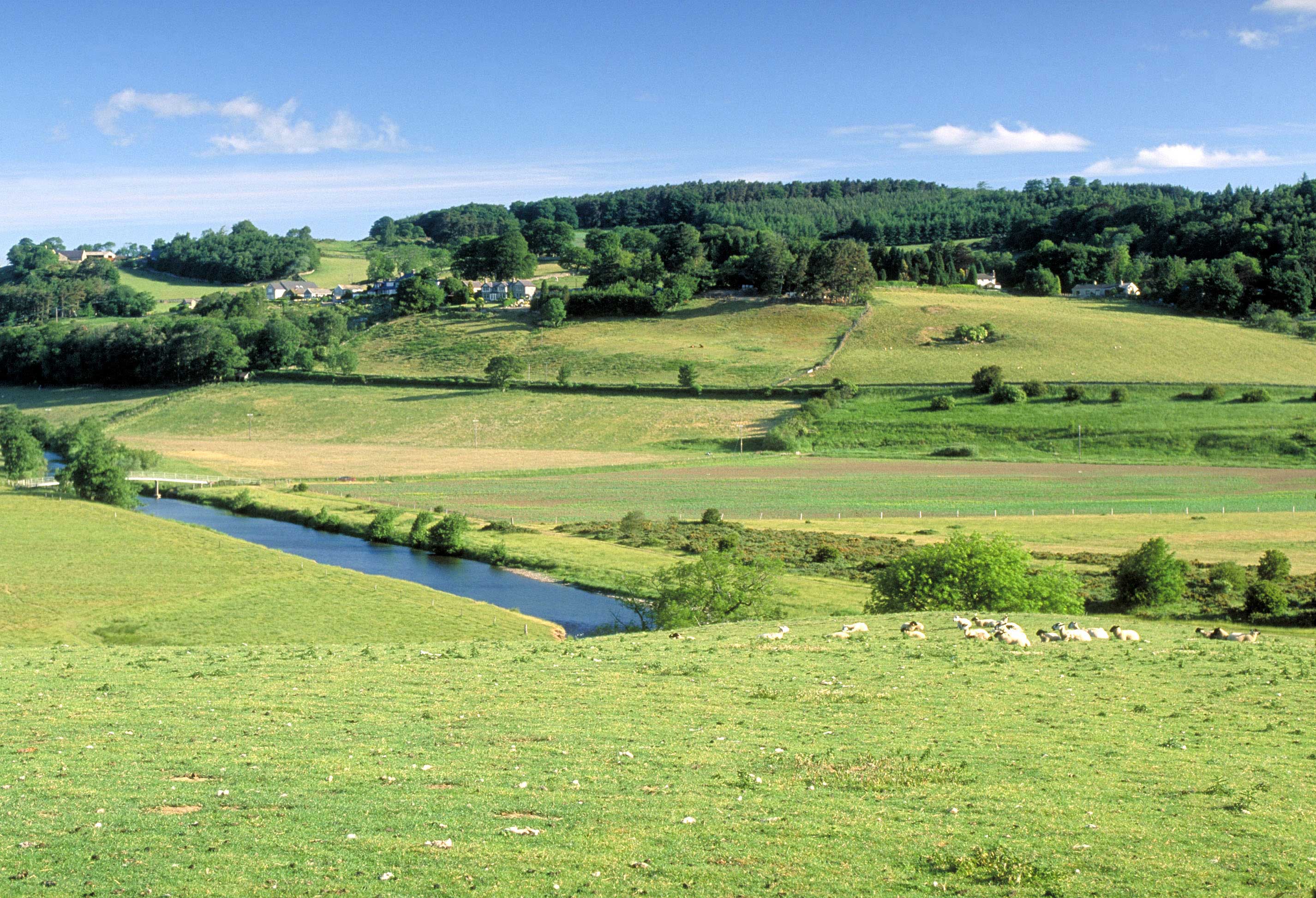 Typical Northumberland view