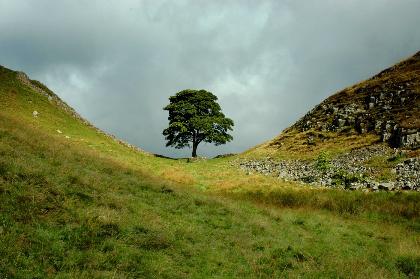 The famous Sycamore Gap