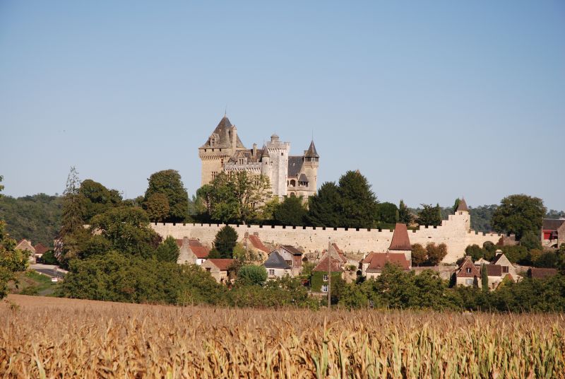 Castles everywhere - this one at Montfort