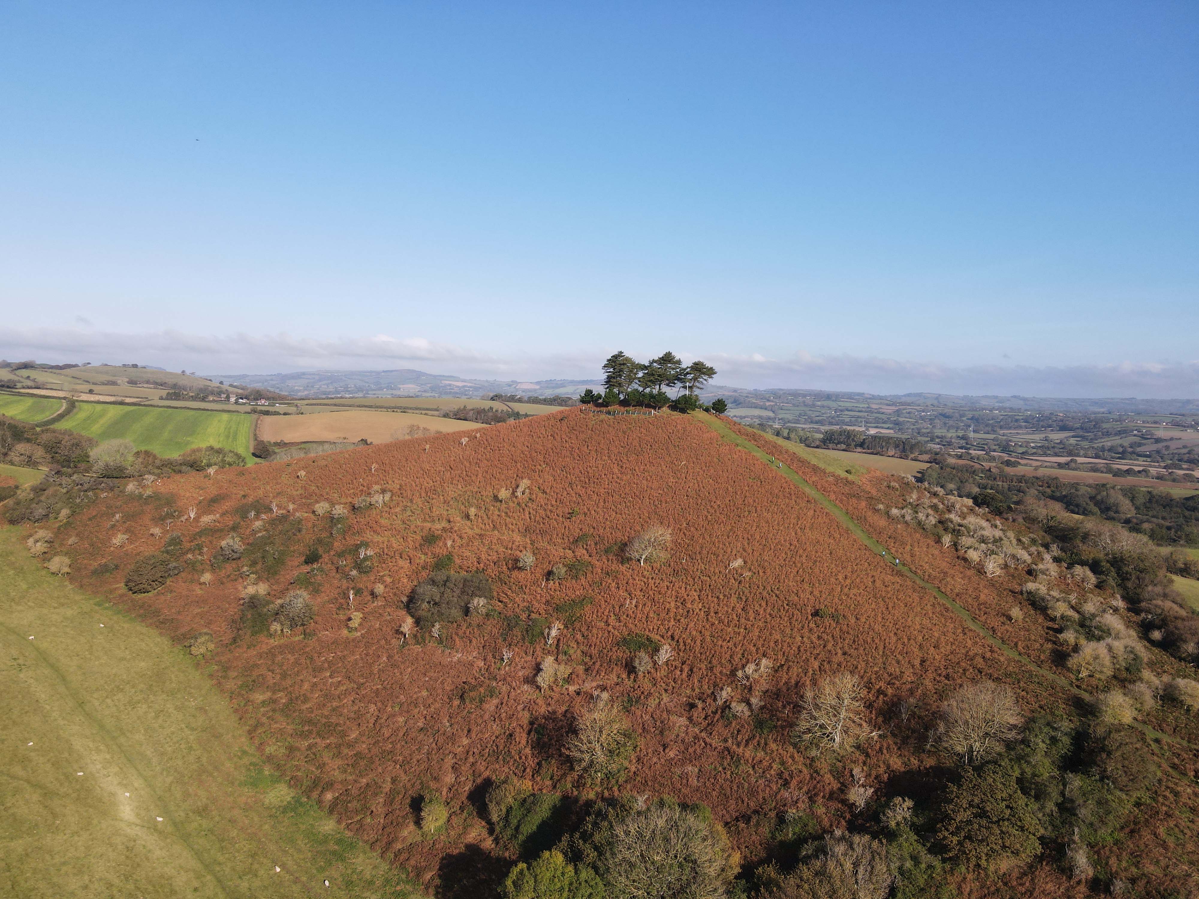 Colmer's hill near Bridport