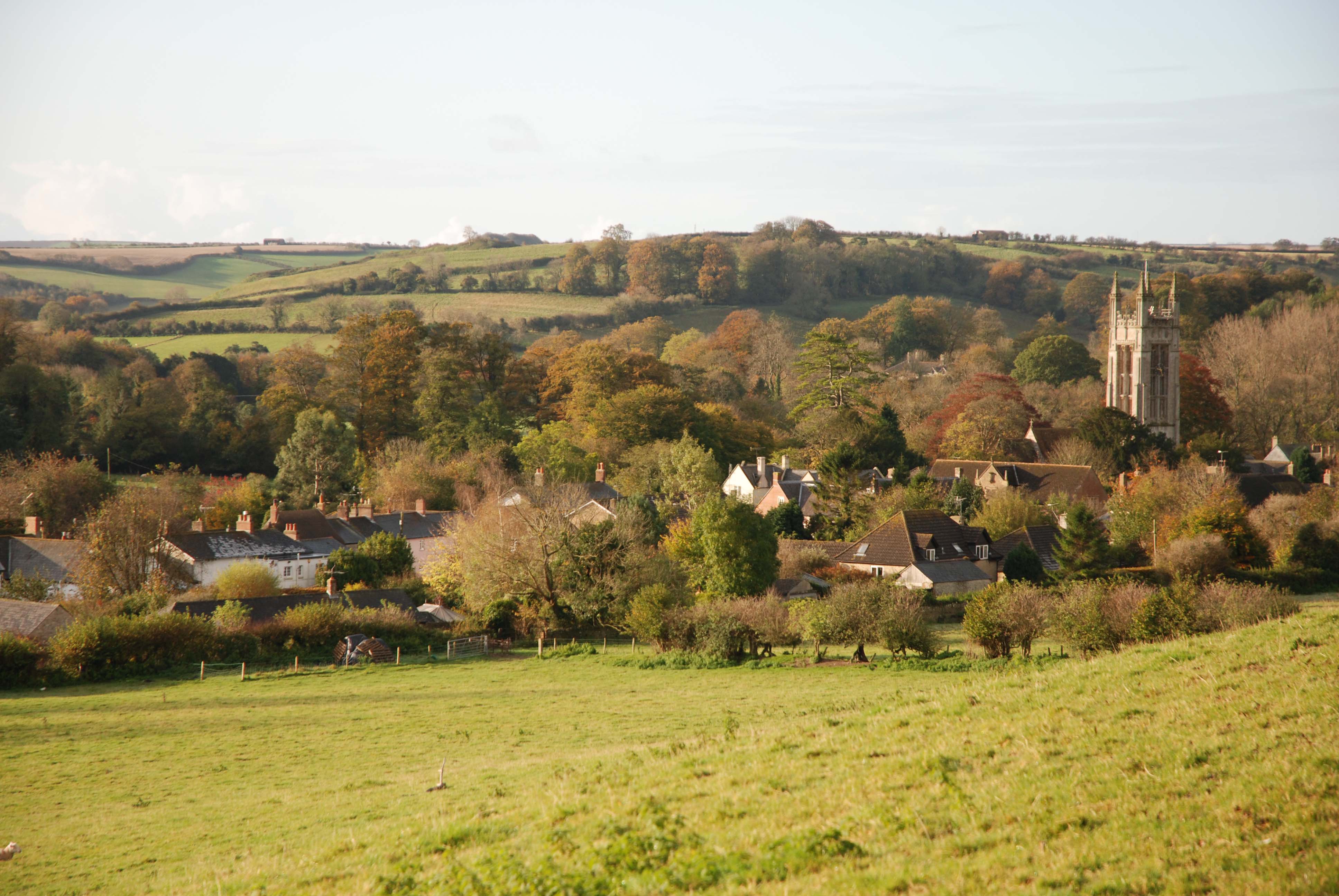 Autumn colours in Dorset