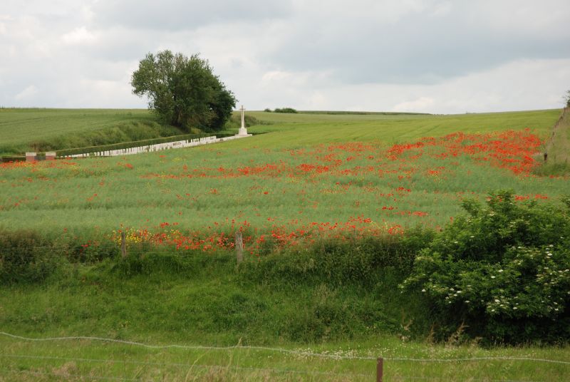 Great War Battlefields: Ypres, Passchendaele and the Somme