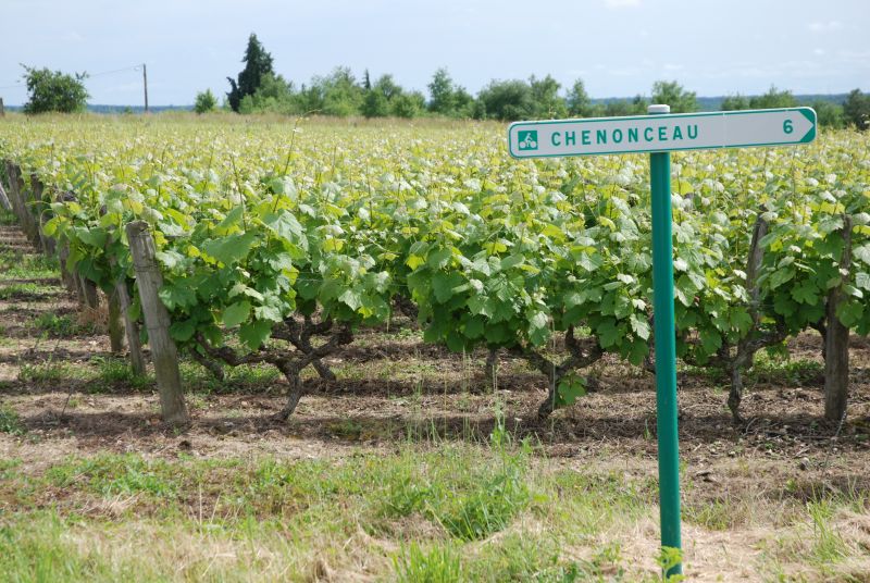 Loire Valley Classic