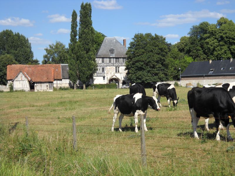 Normandy Discovery