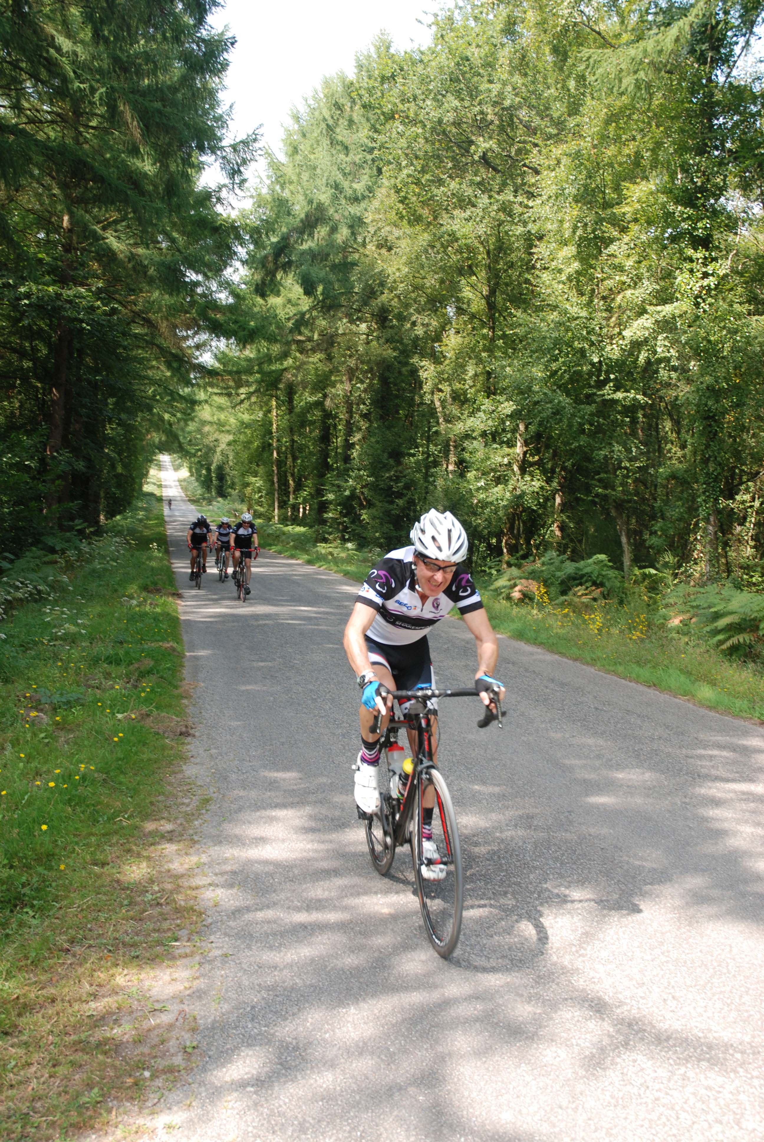 Cycling along quiet roads through the forest in Brittany