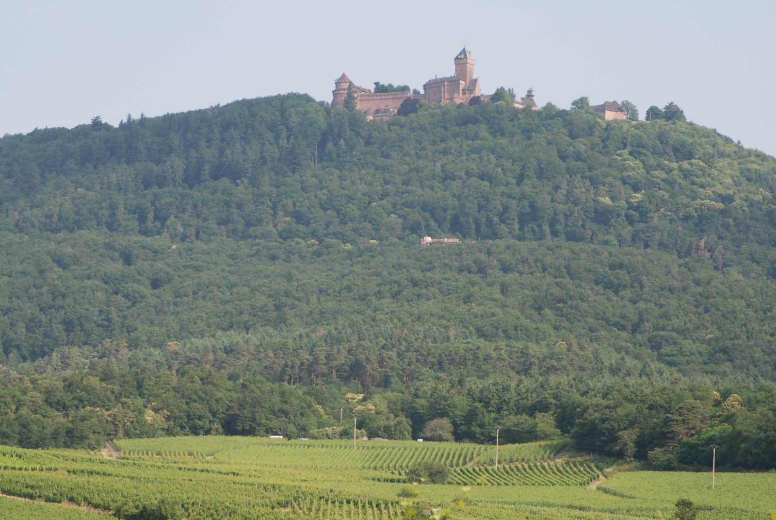 Huat Koenigsburg in the Vosges