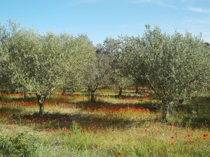 Provence and Luberon