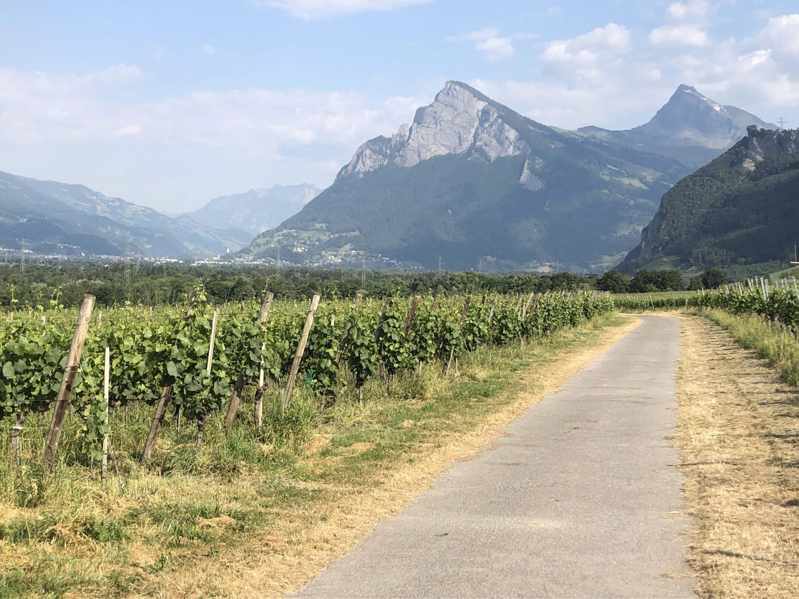 Vineyards are a feature of the route - here in Switzerland