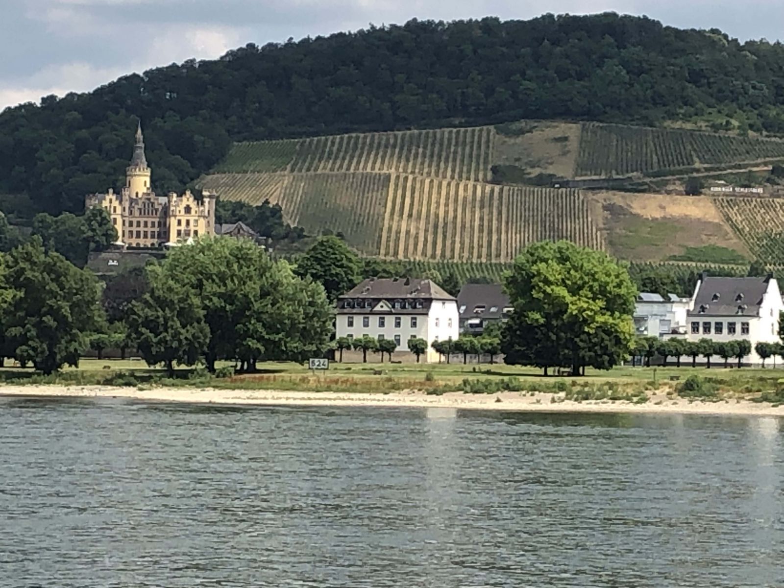 Vineyards and monastery