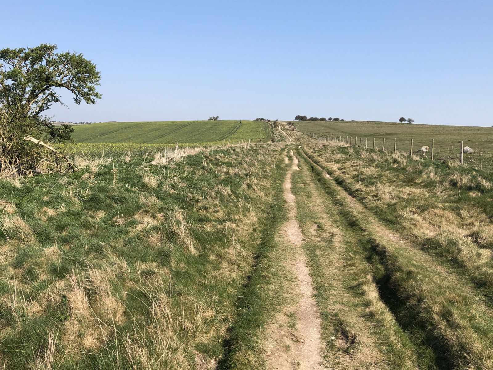 The Ridgeway near the start at Avebury
