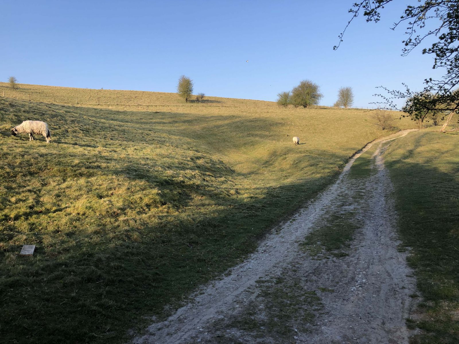 Unspoilt farmland near Ogbourne St George