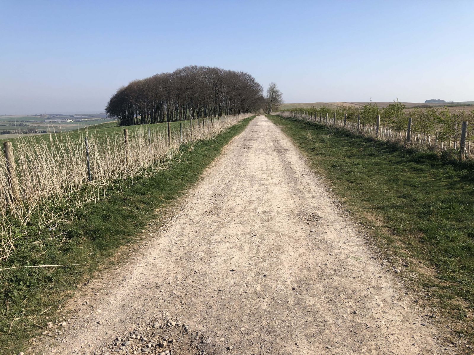 Imagine the number of feet that have trodden this path!