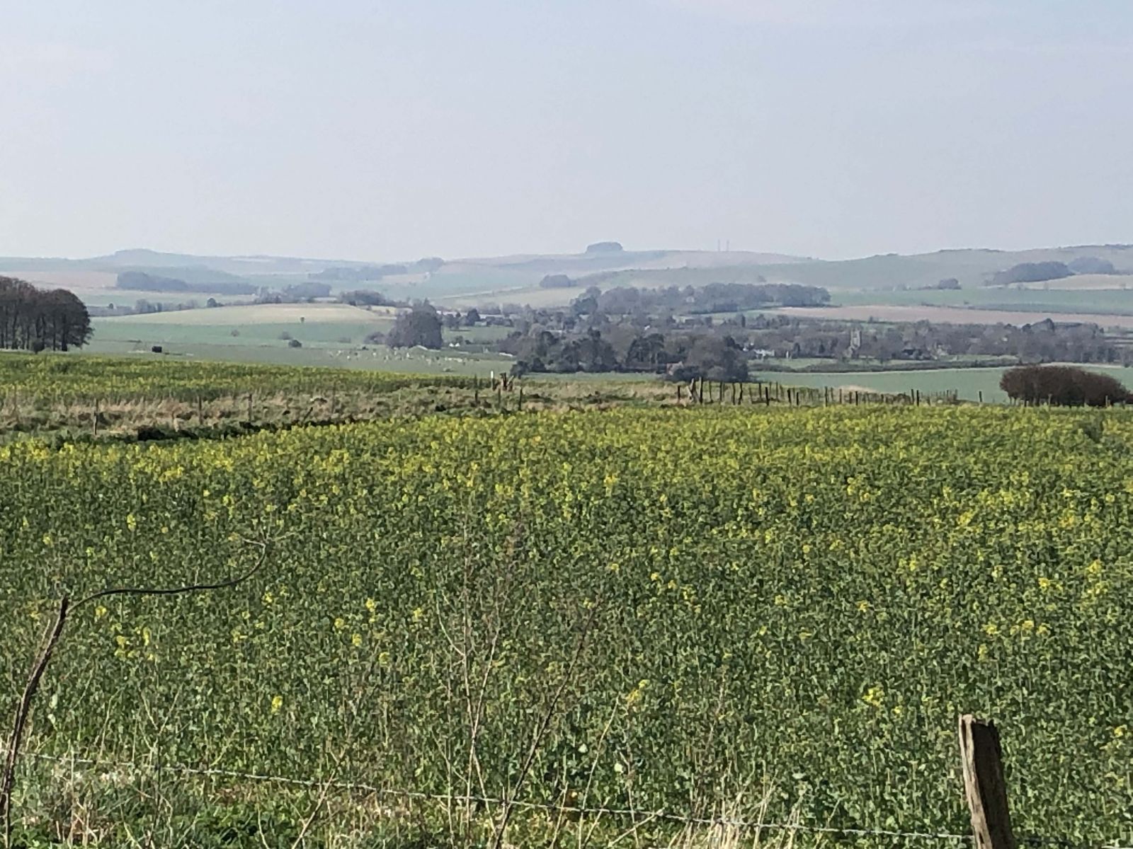 Fine views abound