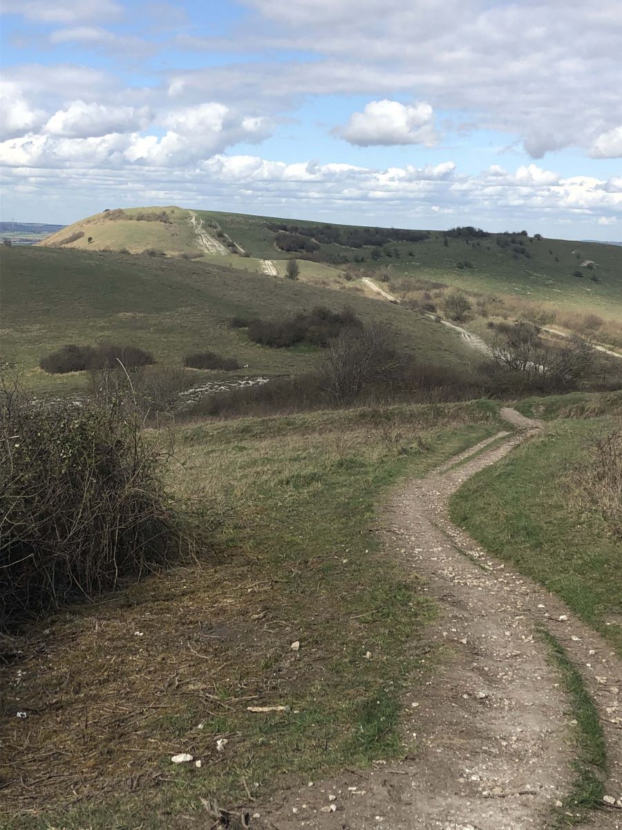 Ivinghoe Beacon in the distance