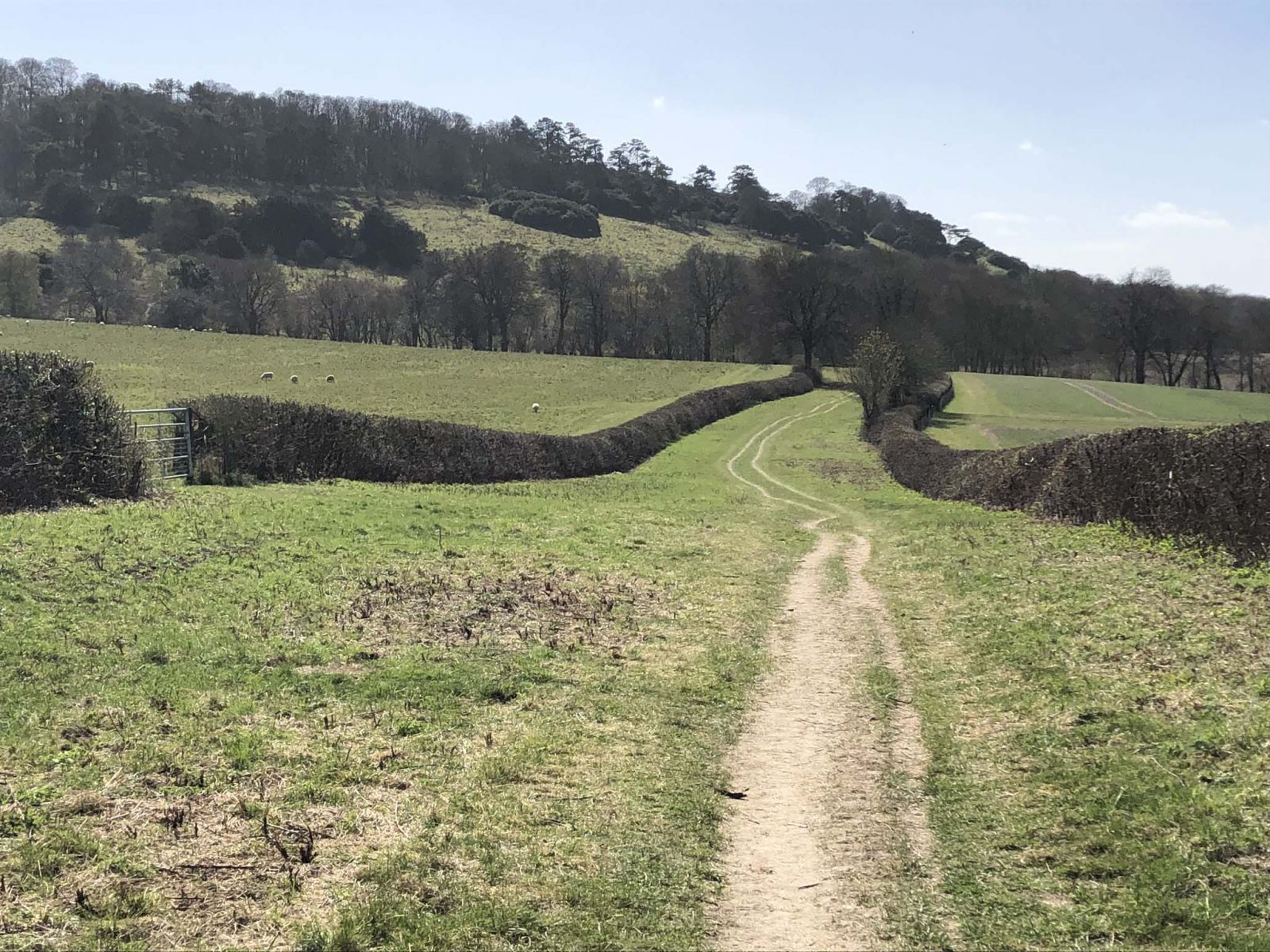 In the shadow of the ridge west of Princes Risborough