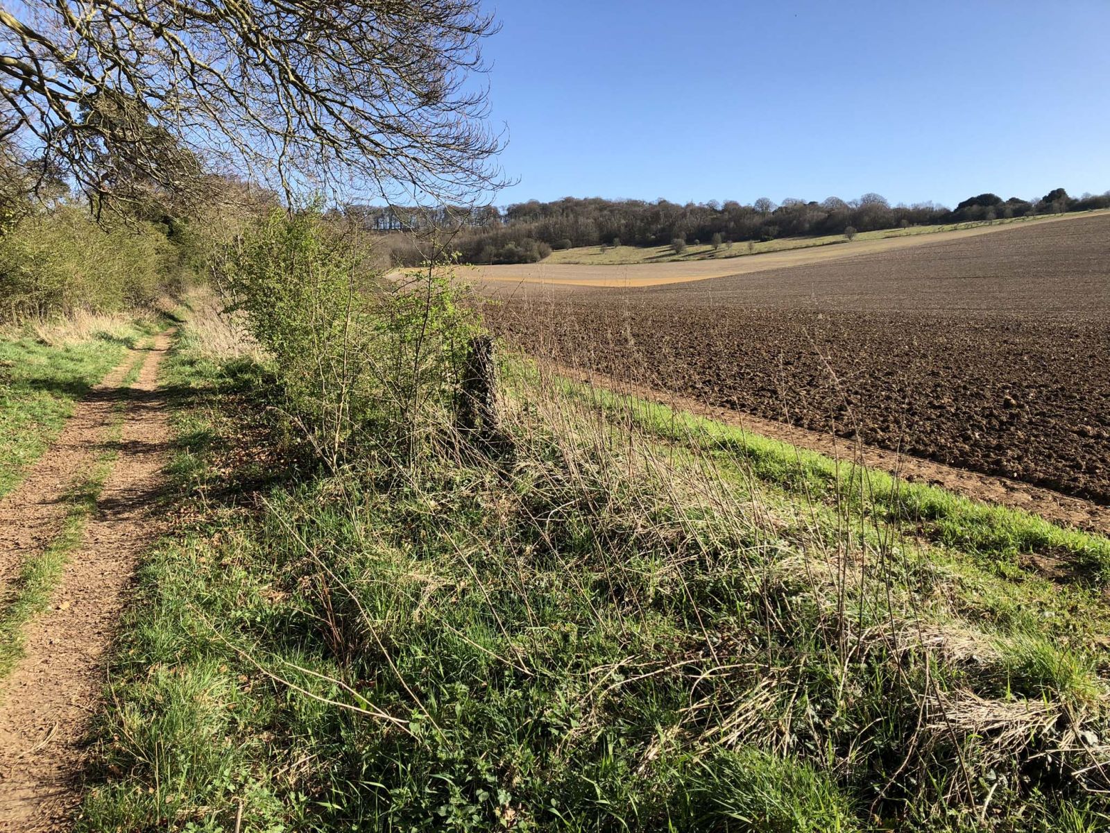 A glorious hidden valley