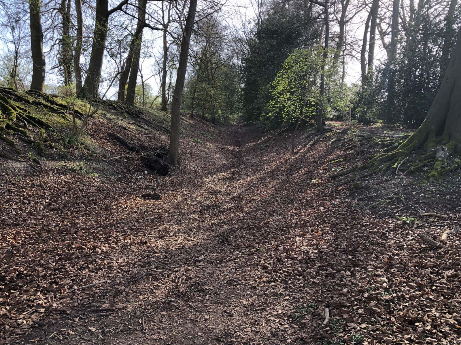Grims Dyke, as old as the path that runs alongside for several miles