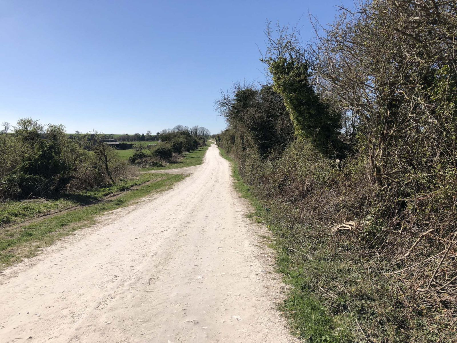 A typical section of trail