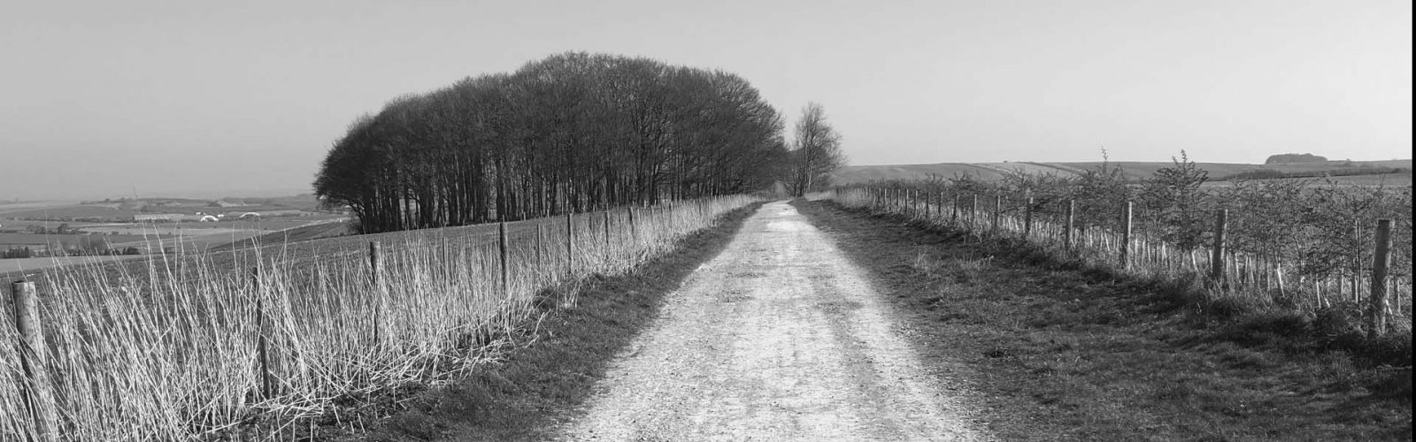 The Ridgeway National Trail Walk