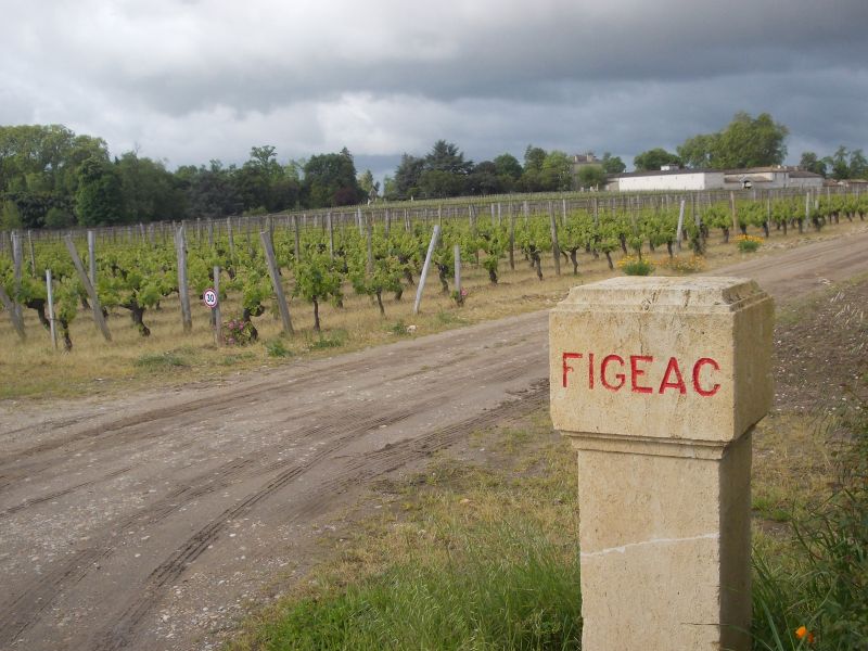 The Bordeaux Superieur