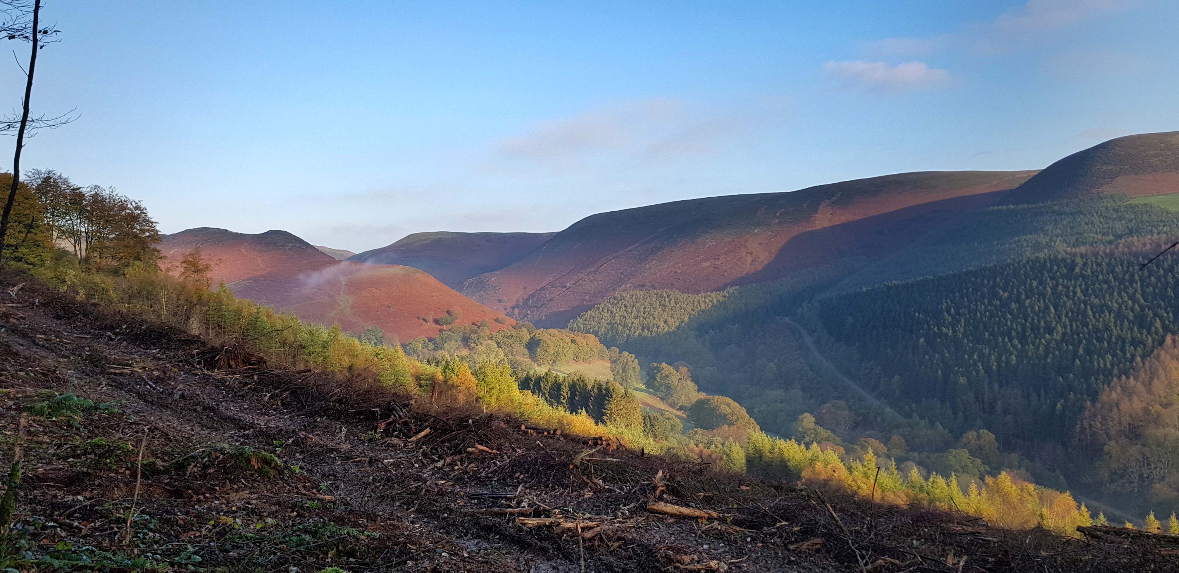 The Cambrian hills